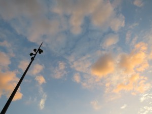 IMG_1572